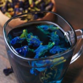 Cac Menu Butterfly Pea Tea